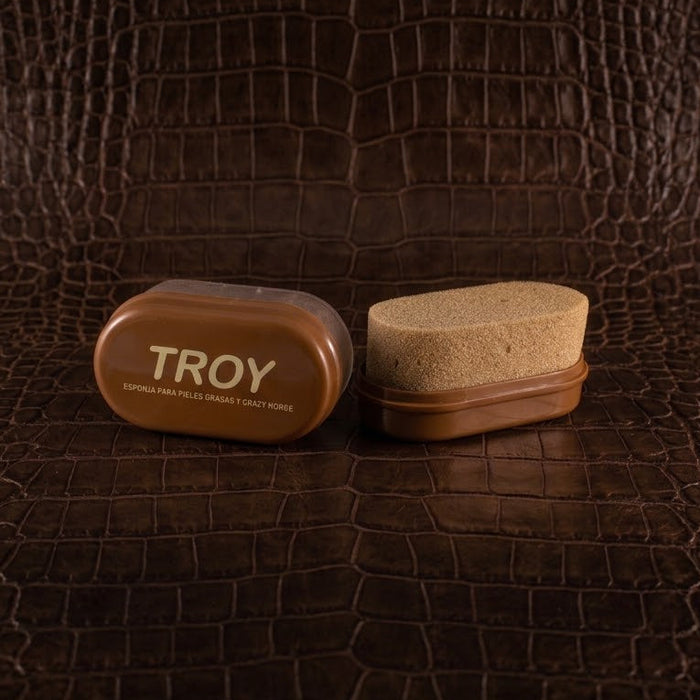 Esponja Graso Plus TROY